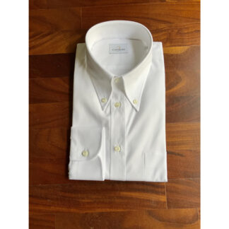 Morris 8 collo button-down