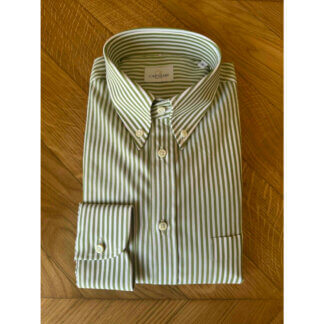 Davis 10 button-down collar